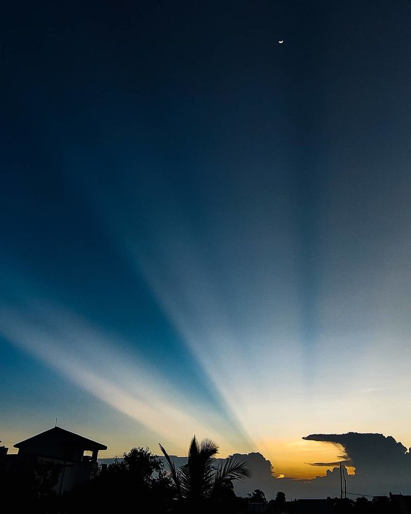 Photograph by Suryapriya