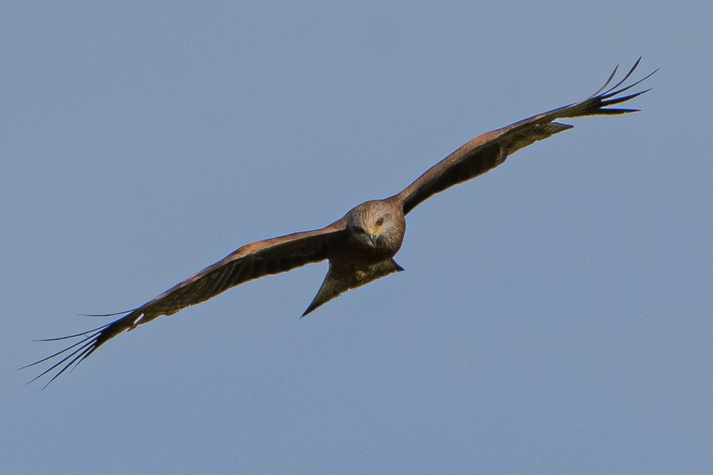 Photograph by Сергей Торхов