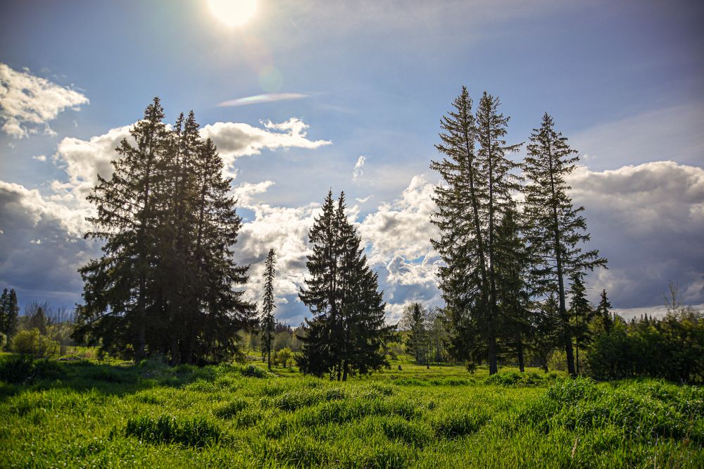 Photograph by Сергей Торхов