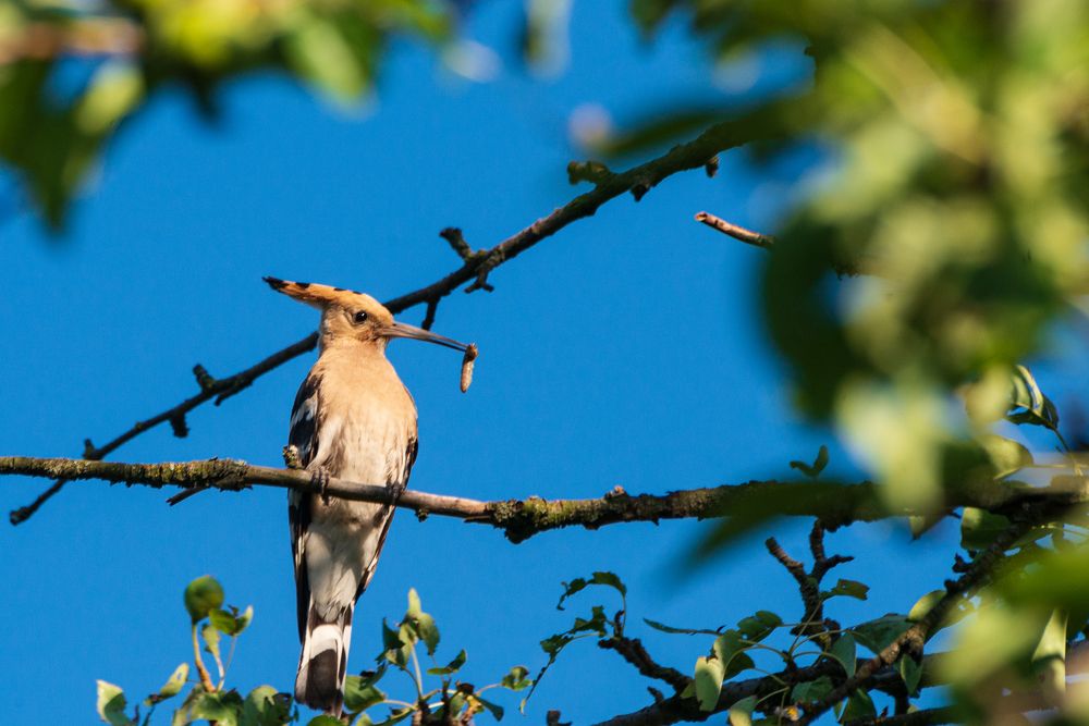 Фотография автора Богдан Ботовский