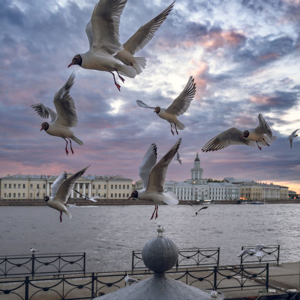 Фотография автора Караваев Антон