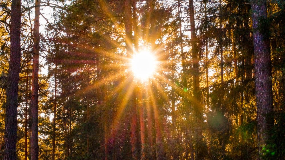 Photograph by Александра Храмцова