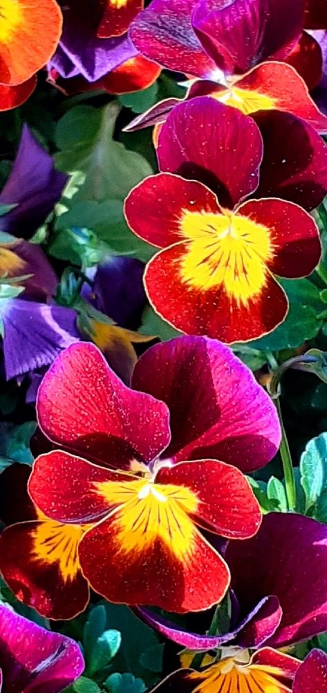 Photograph by Евгения Ульянова