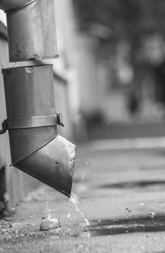 Photograph by Александр Тарханов