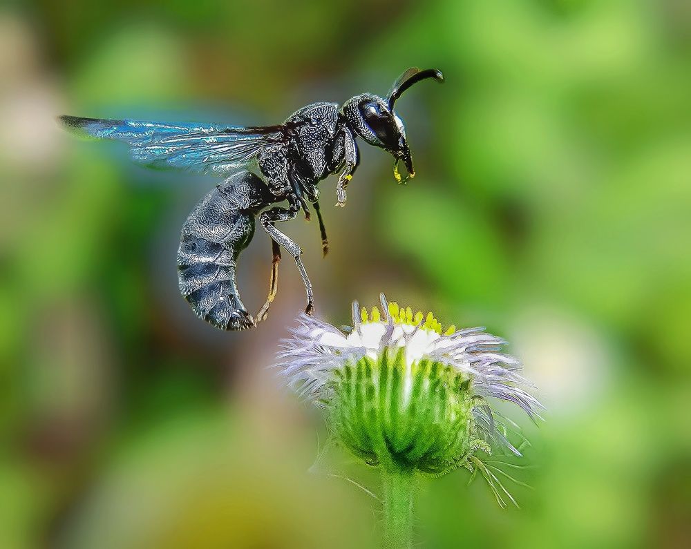Photograph by Shubhadip Das