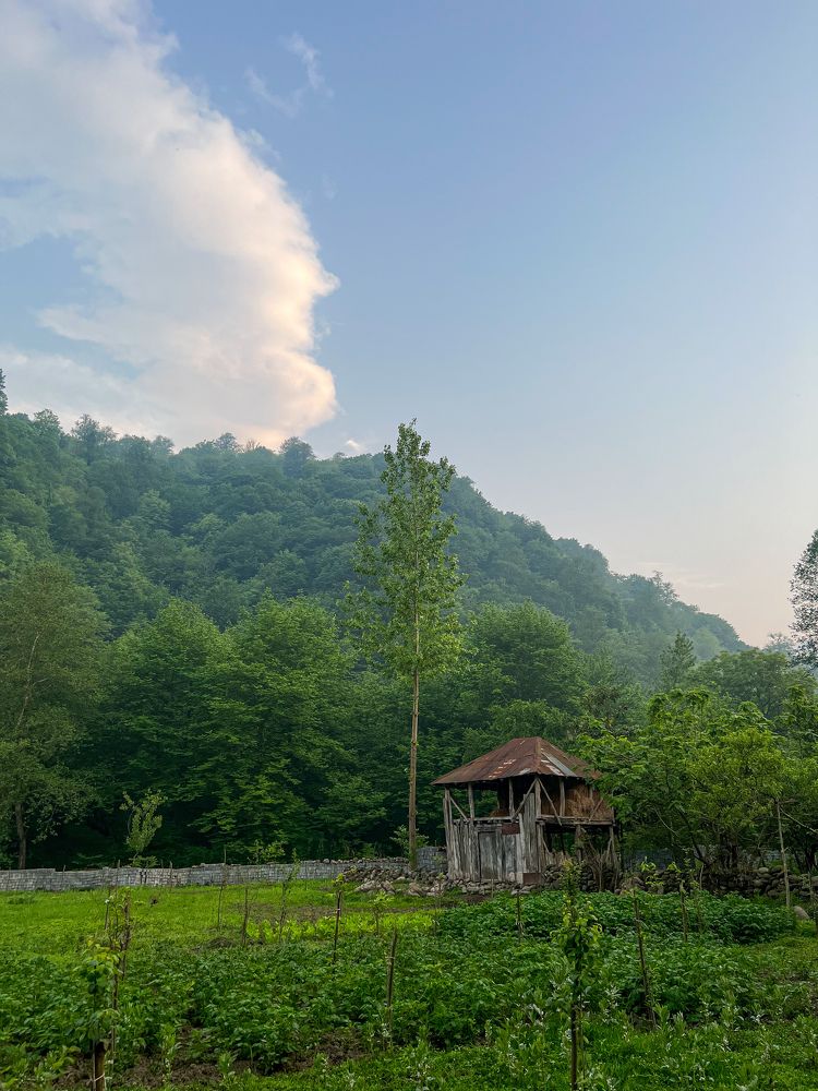 Photograph by Navid Tahmasbi