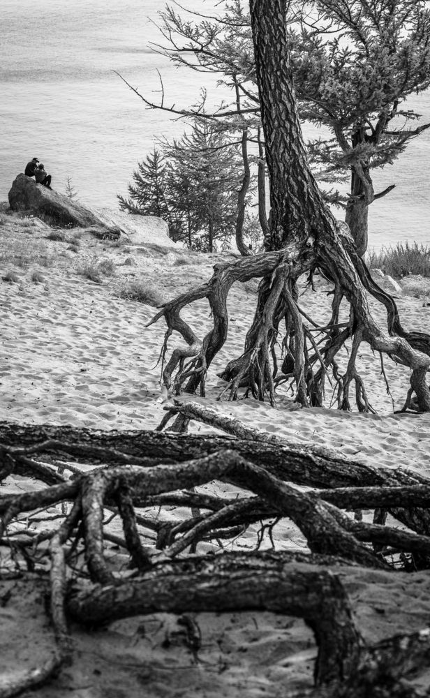 Фотография автора Андрей Васильев