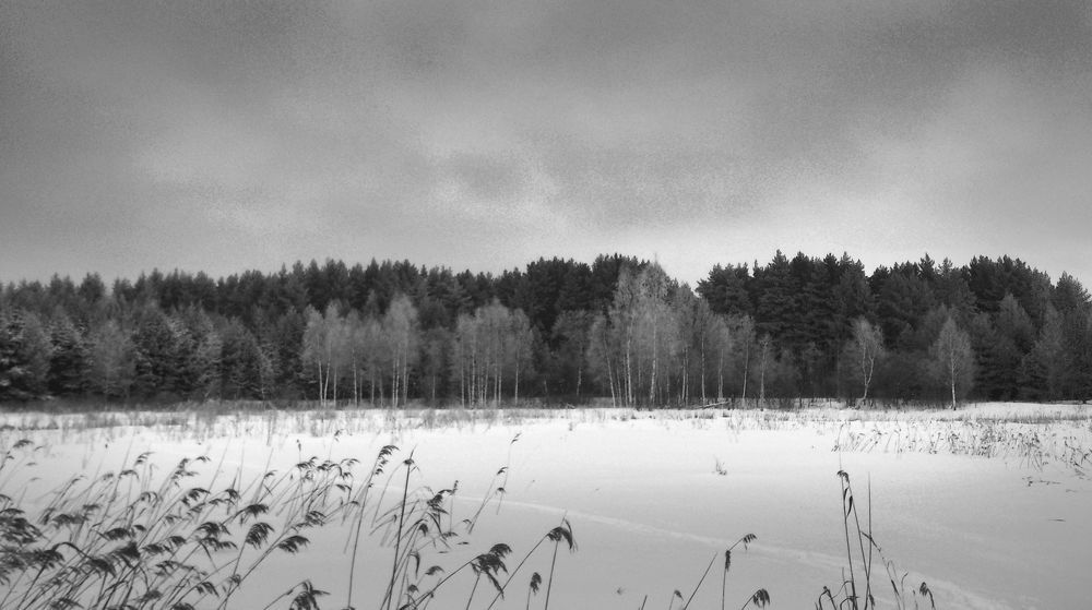 Photograph by Волкова Владимира