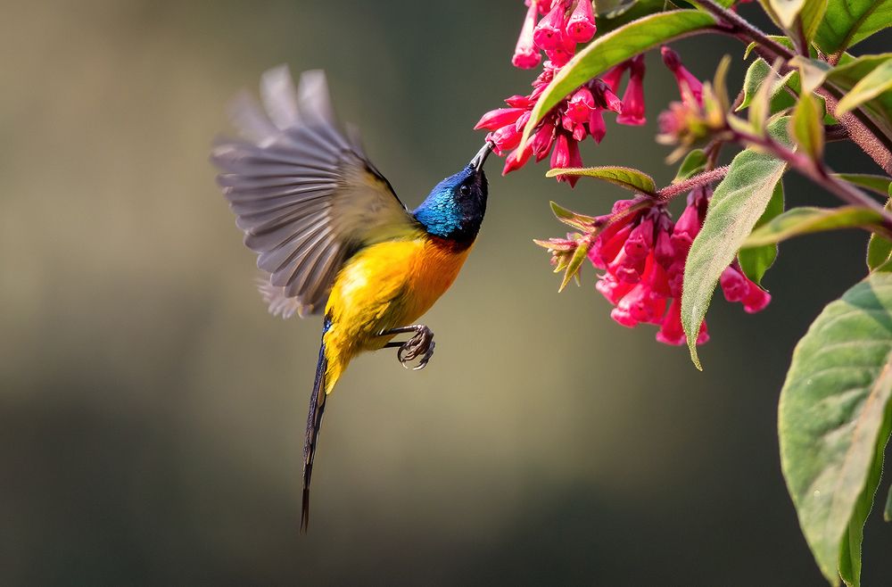 Photograph by Soumik Sengupta