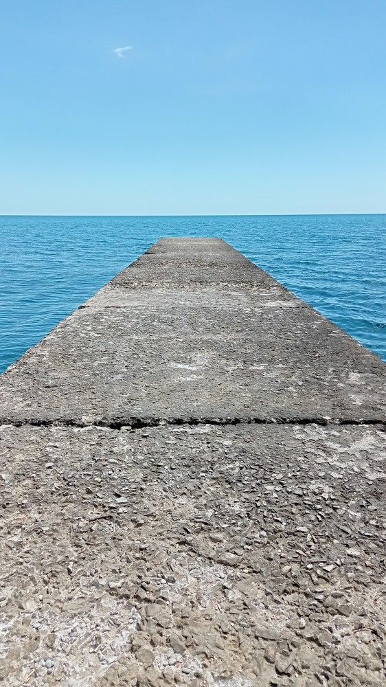 Photo #7718735