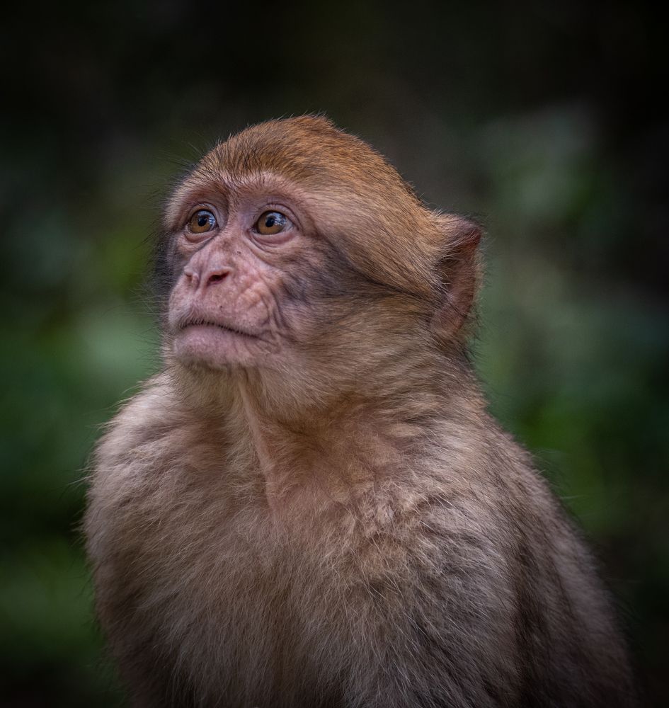 Photograph by MOUHCINE AJDI