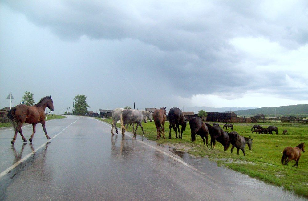 Photograph by Мигун Александра