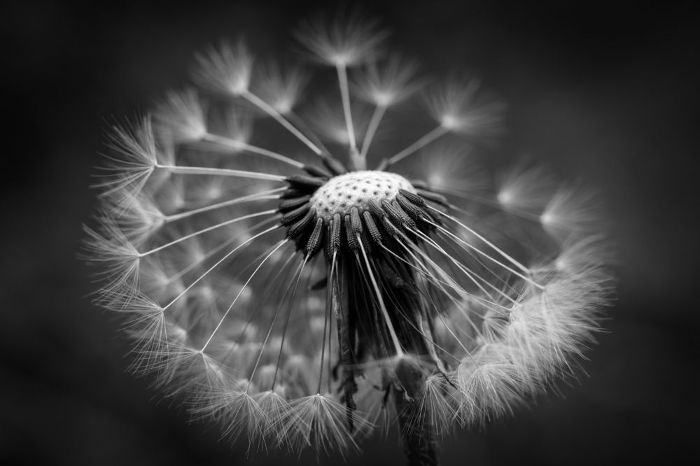 Photograph by Ольга Тюрина