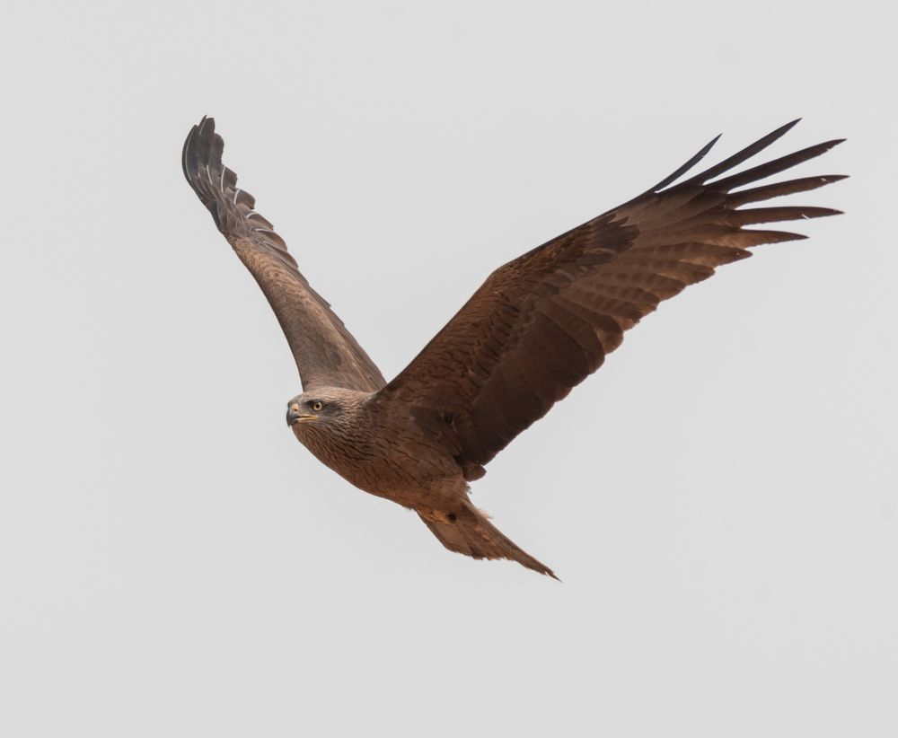 Photograph by MOUHCINE AJDI