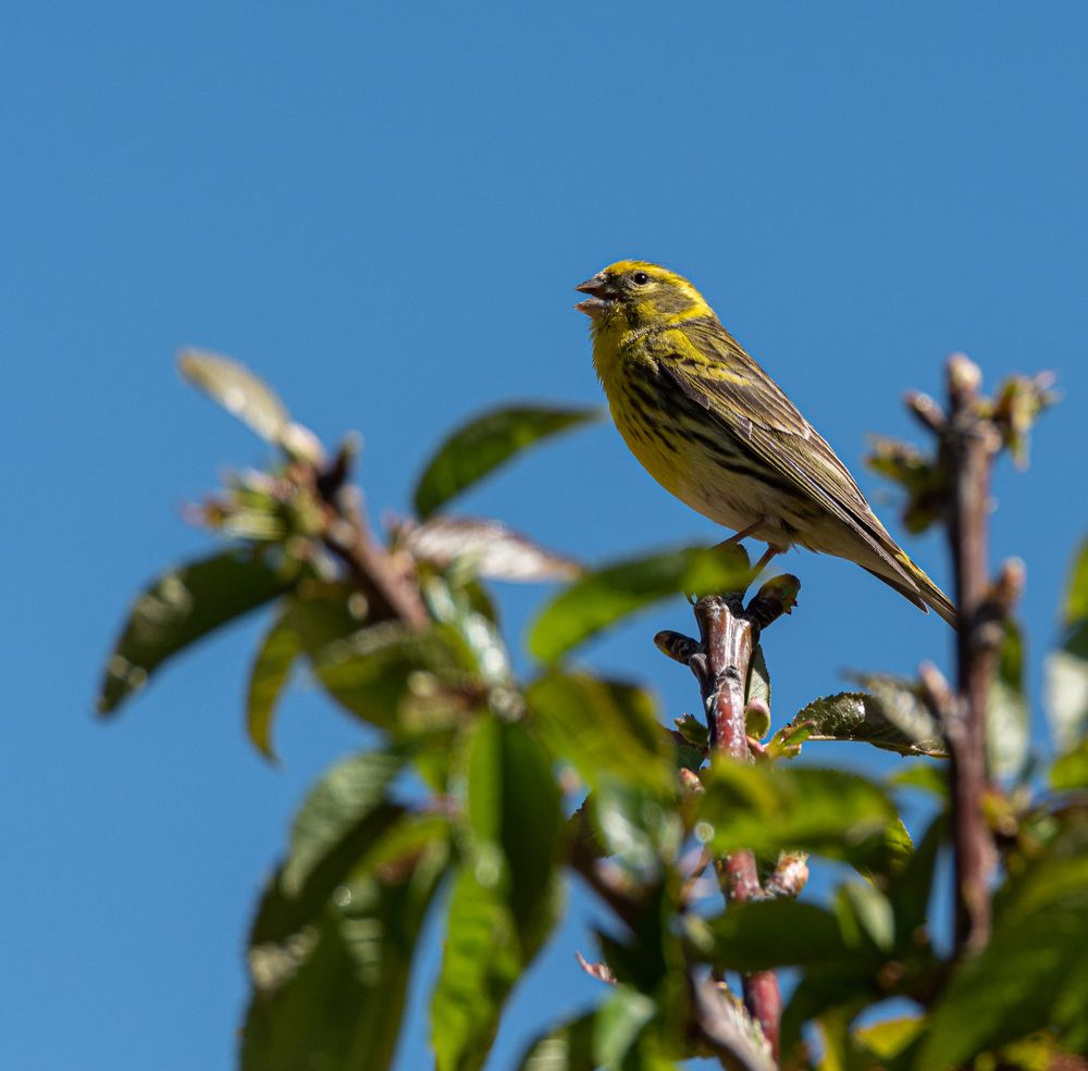 Photograph by MOUHCINE AJDI