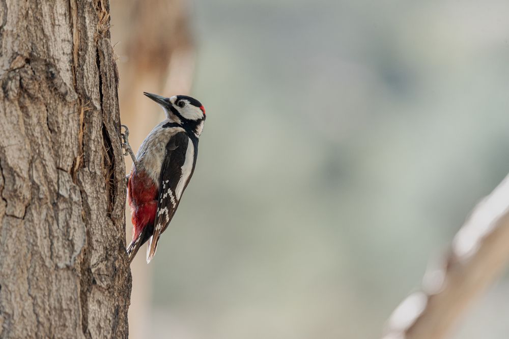 Photograph by MOUHCINE AJDI