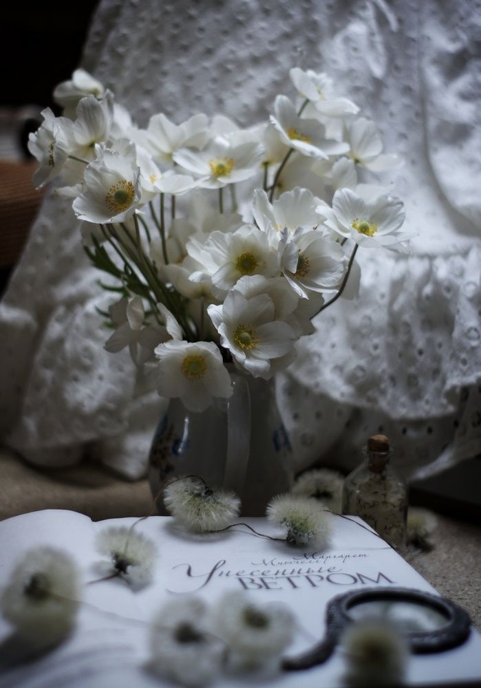Photo #7718836