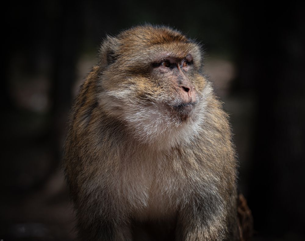 Photograph by MOUHCINE AJDI