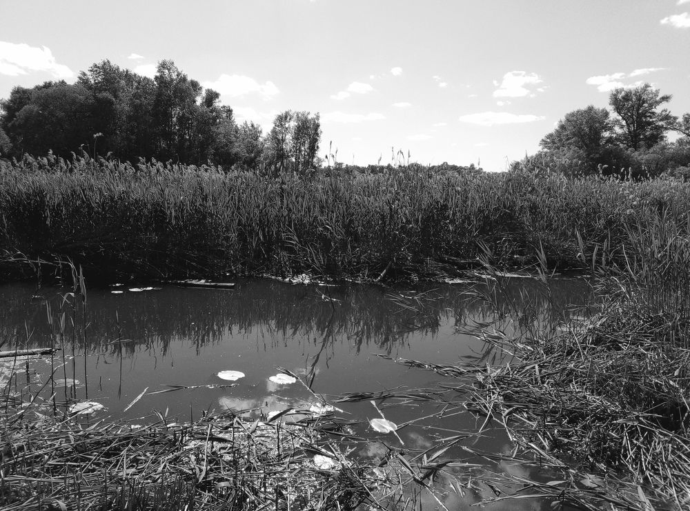 Photograph by Евгений Артемьев