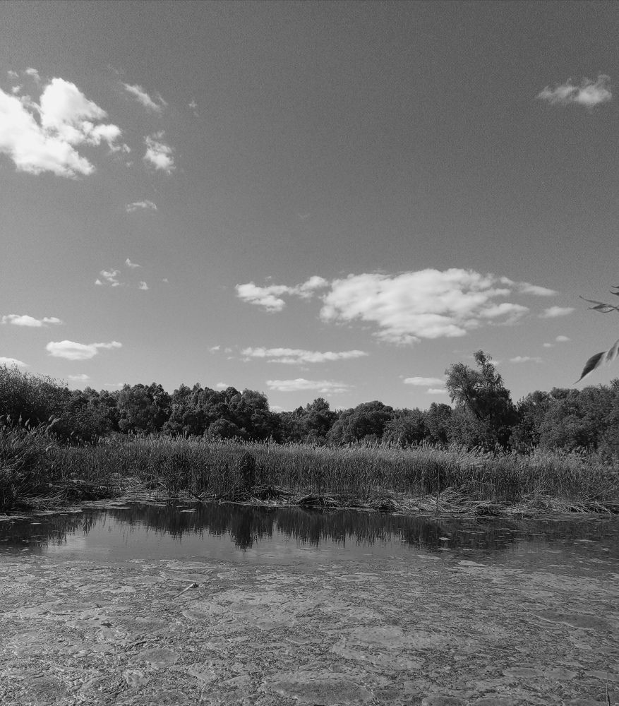 Photograph by Евгений Артемьев