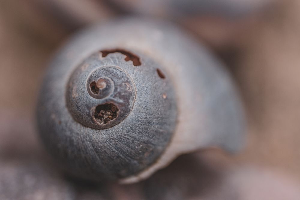 Photograph by Ольга Тюрина