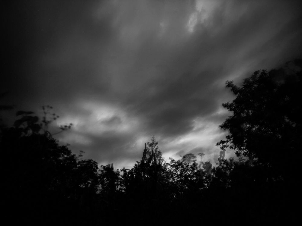 Photograph by Diana-Alexandra Amărinei