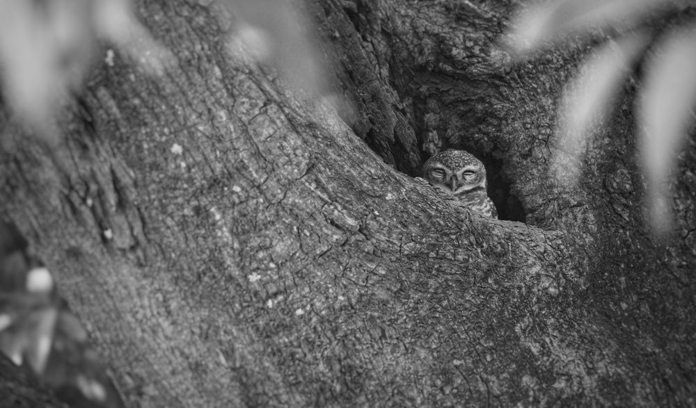Photograph by Rajat Mandloi
