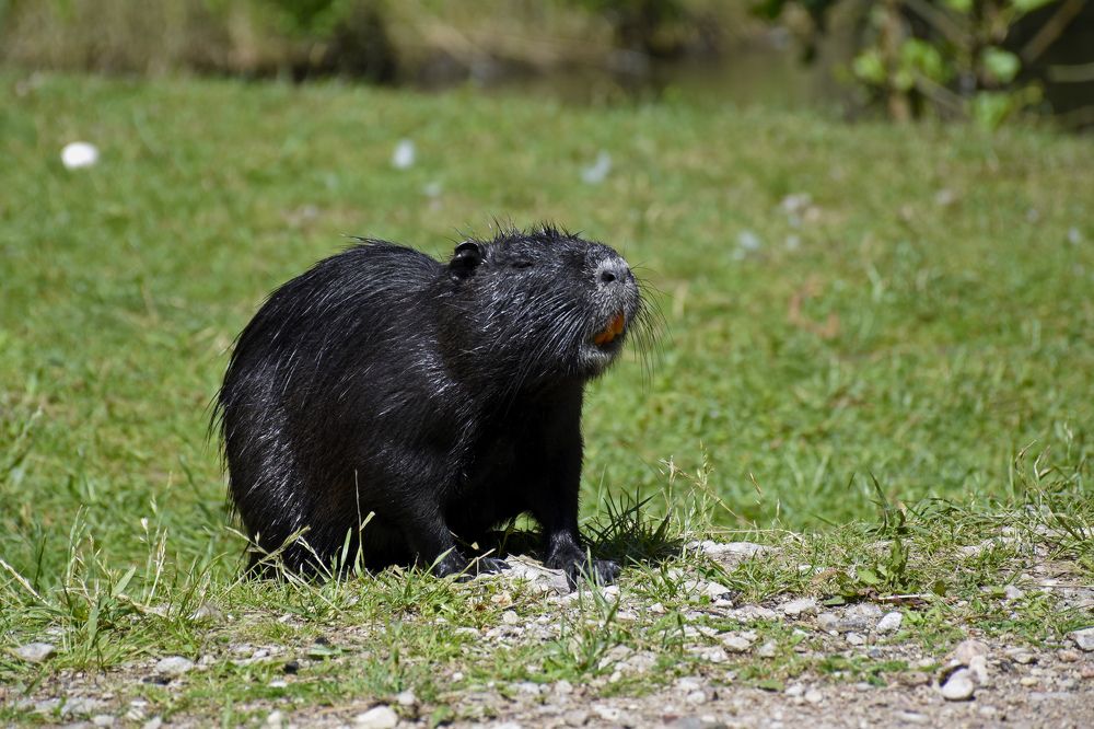 Photograph by Anton Leonchikov