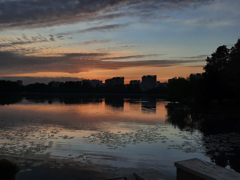 Photograph by Василиса Лисняк