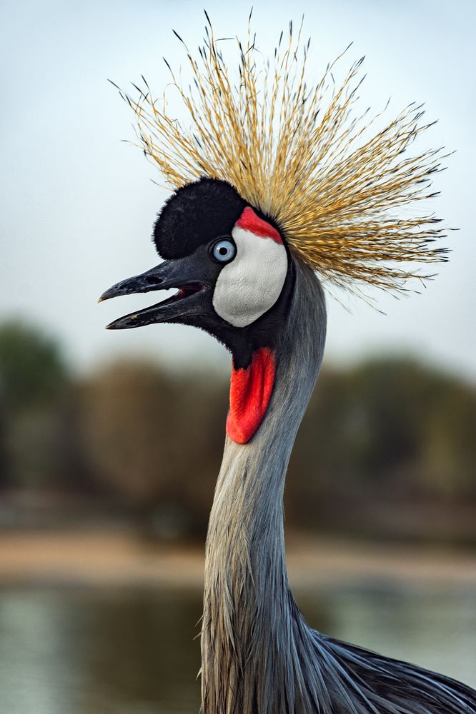 Photograph by Oxana Berezovskaya