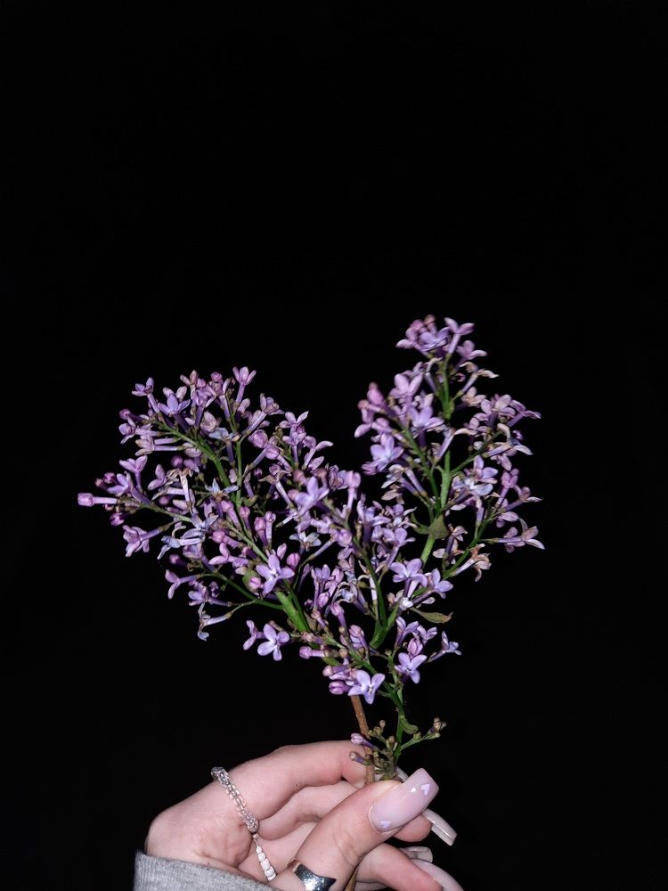 Photograph by Василиса Лисняк