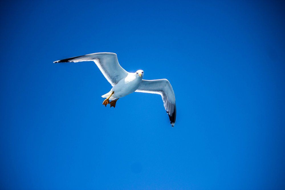 Photograph by Muharrem Bayrmoğlu