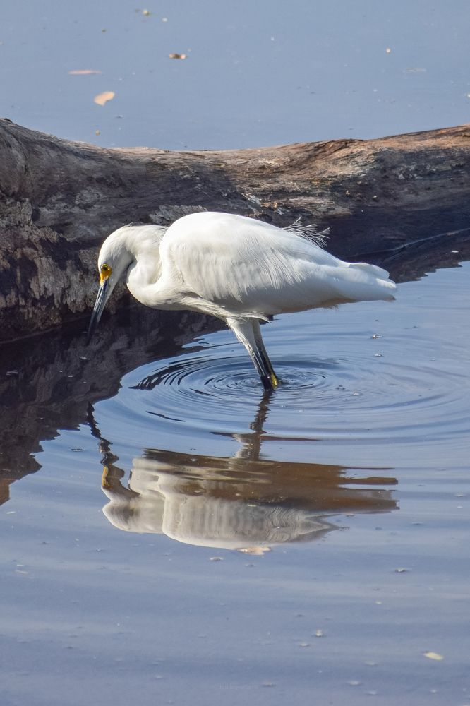 Photograph by Mauricio Santiago Boulogne