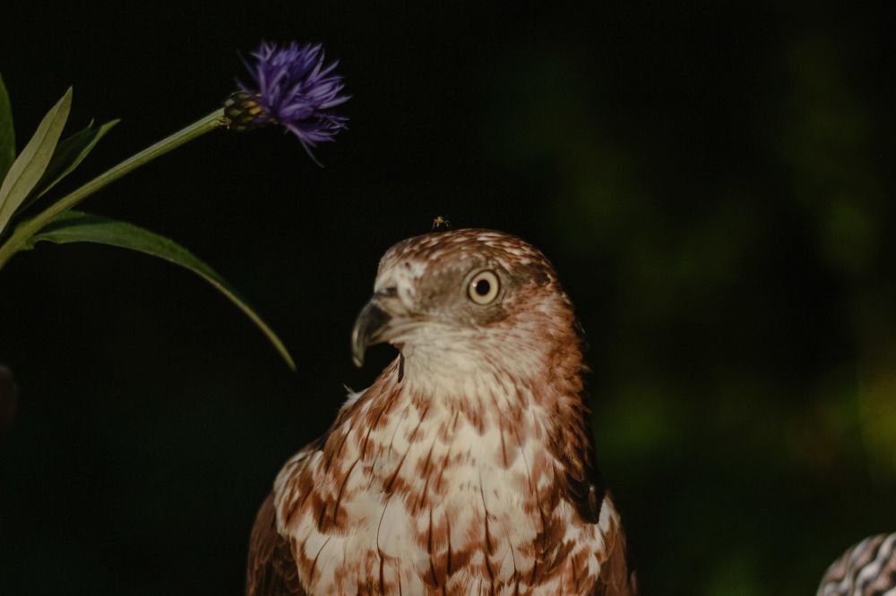 Фотография автора Ольга