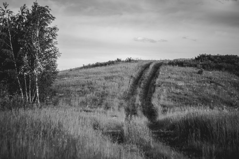 Photograph by Ольга Остапенко