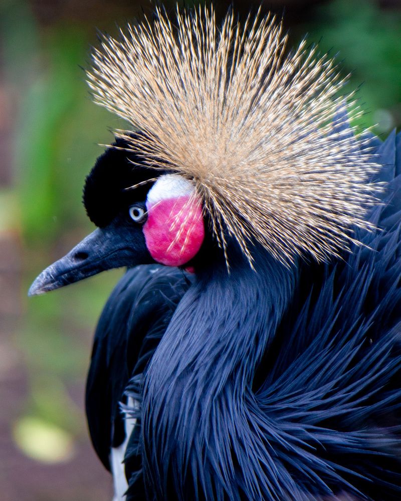 Photograph by Сергей Маркелов