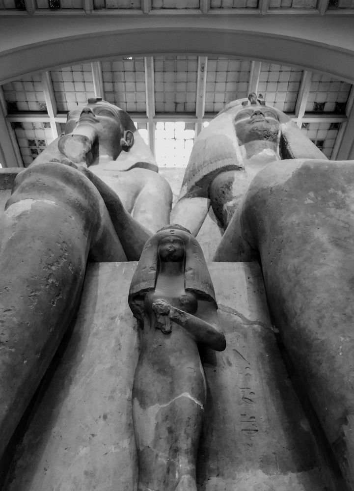 Egyptian Royal Family