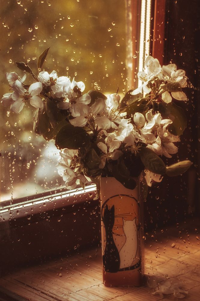 Photograph by Анна