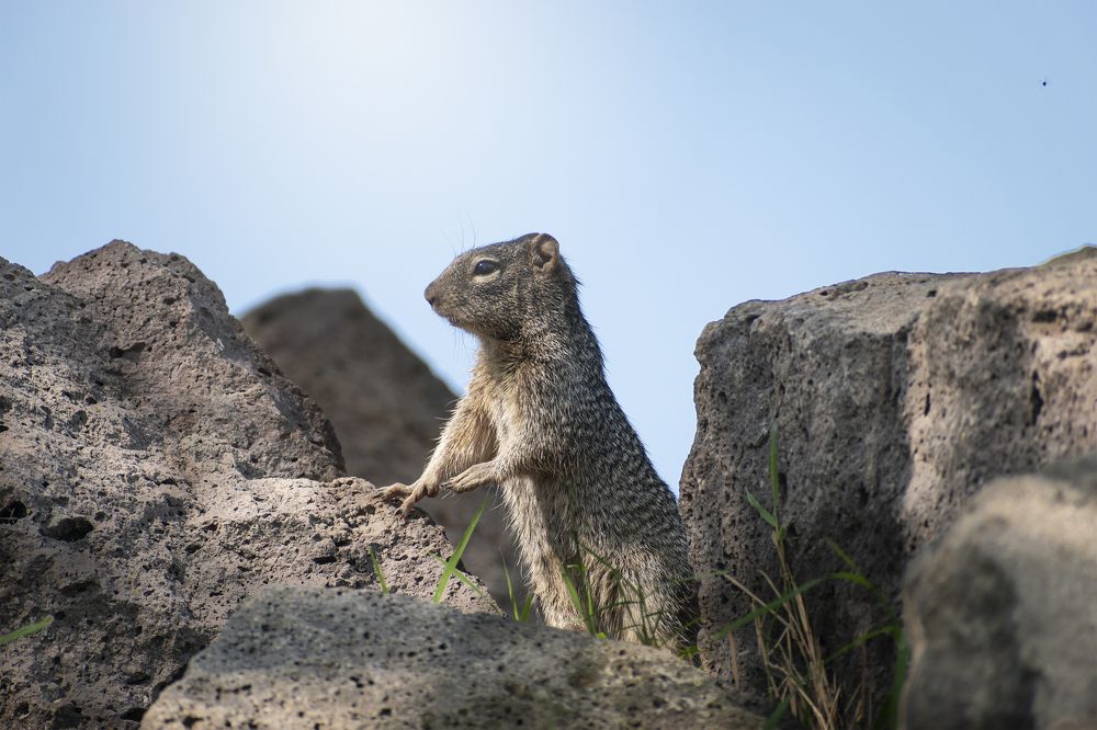 Photograph by Alfredo Jiménez Velázquez