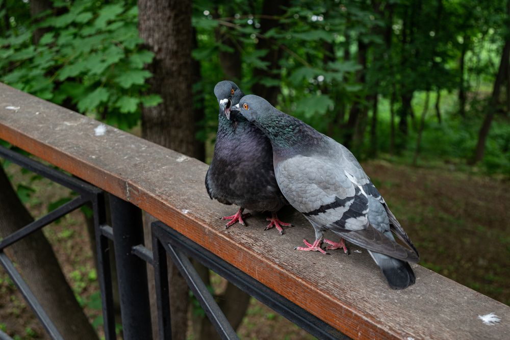 Photograph by Максим Умеренников