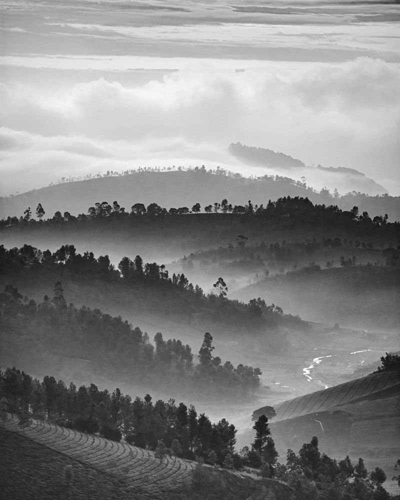 Photograph by Chirag Chordia