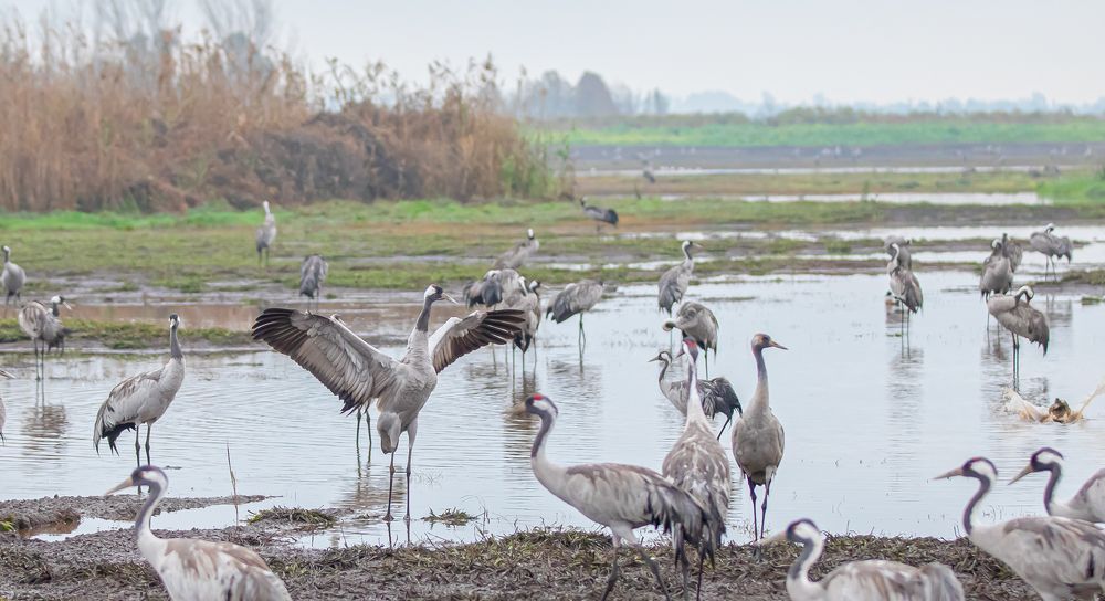 Photograph by Aleksander Goldshtein