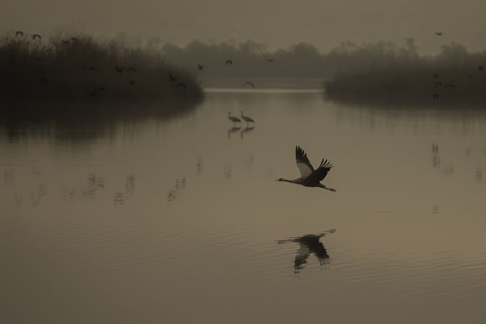 Photograph by Aleksander Goldshtein