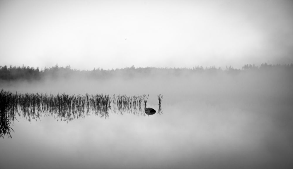 Photograph by Дмитрий Черепков