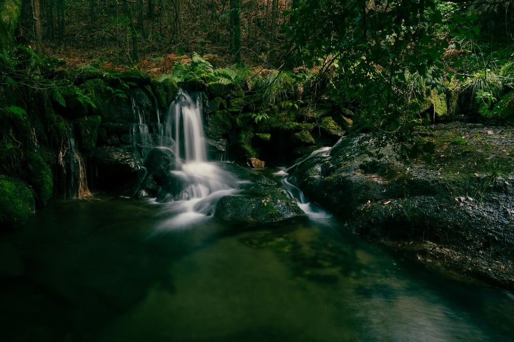 Photograph by António Vieira
