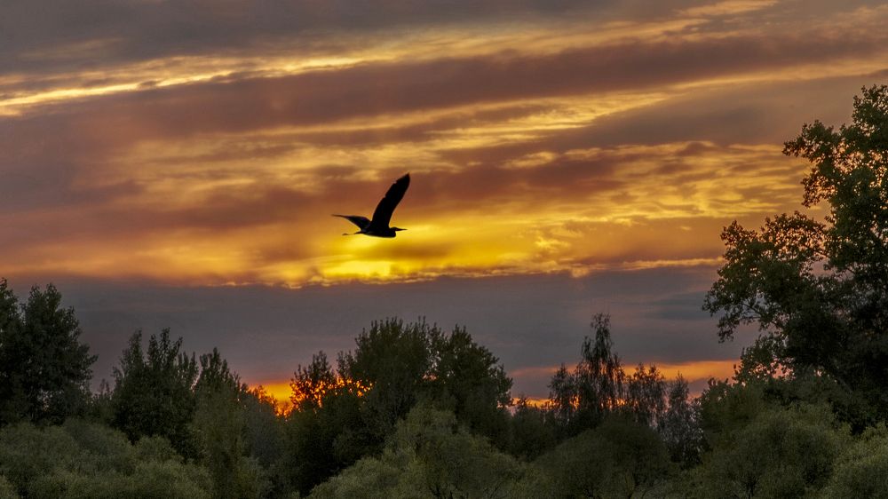 Photograph by АНДРЕЙ АБАКУМОВ