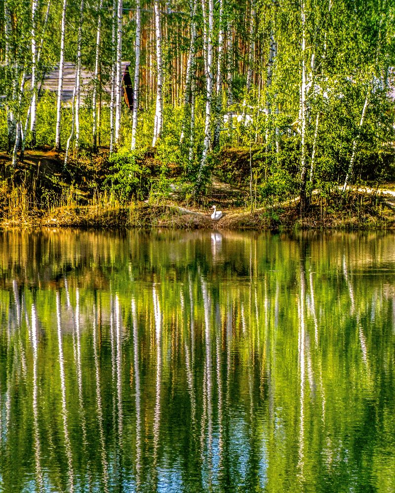 Photograph by АНДРЕЙ АБАКУМОВ