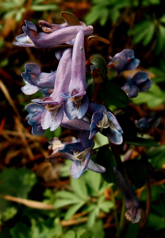 Photograph by Ольга