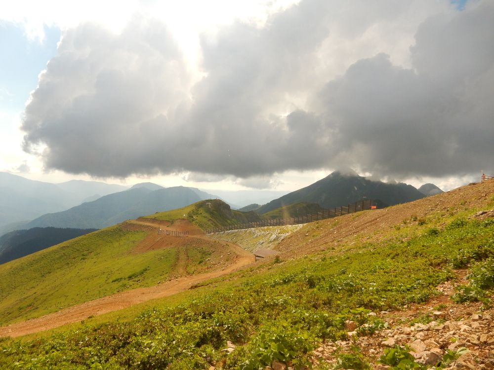 Photograph by Daniel Taylor