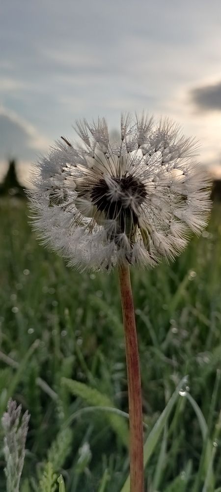 Photo #7719446